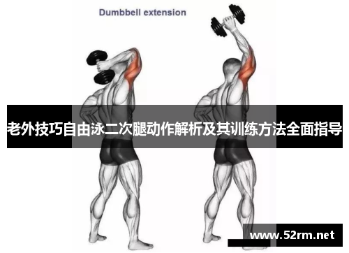 老外技巧自由泳二次腿动作解析及其训练方法全面指导