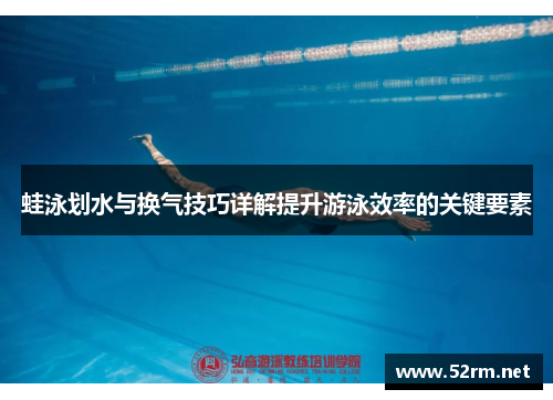蛙泳划水与换气技巧详解提升游泳效率的关键要素